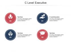 C level executive ppt powerpoint presentation icon elements cpb