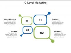 C level marketing ppt powerpoint presentation pictures graphics cpb