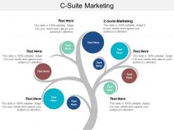 C suite marketing ppt powerpoint presentation gallery infographic template cpb