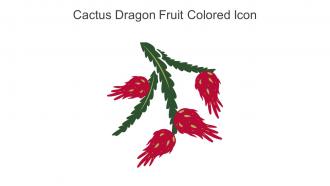 Cactus Dragon Fruit Colored Icon In Powerpoint Pptx Png And Editable Eps Format