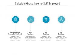 Calculate gross income self employed ppt powerpoint presentation infographics outline cpb