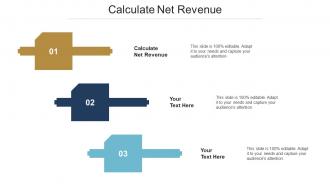 Calculate Net Revenue Ppt Powerpoint Presentation Gallery Graphics Download Cpb