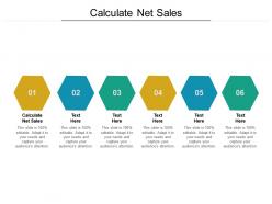 Calculate net sales ppt powerpoint presentation slides tips cpb