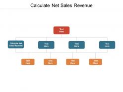 Calculate net sales revenue ppt powerpoint presentation inspiration background cpb