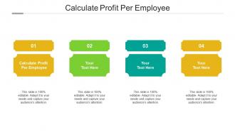 Calculate profit per employee ppt powerpoint presentation infographics show cpb