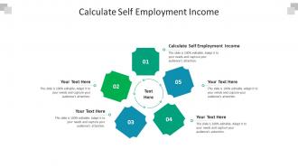 Calculate self employment income ppt powerpoint presentation pictures templates cpb