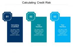 Calculating credit risk ppt powerpoint presentation infographics backgrounds cpb