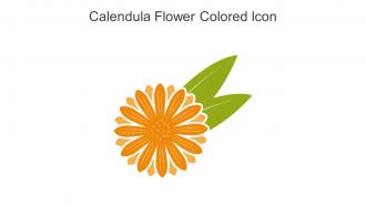 Calendula Flower Colored Icon In Powerpoint Pptx Png And Editable Eps Format