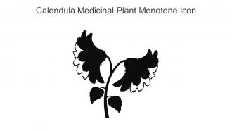 Calendula Medicinal Plant Monotone Icon In Powerpoint Pptx Png And Editable Eps Format