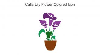 Calla Lily Flower Colored Icon In Powerpoint Pptx Png And Editable Eps Format