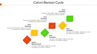 Calvin Benson Cycle Ppt Powerpoint Presentation Show Information Cpb