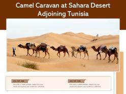 Camel caravan at sahara desert adjoining tunisia