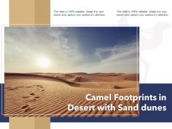 Camel footprints in desert with sand dunes