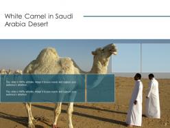 Camel gear across instruments pyramid captivity