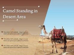 Camel standing in desert area