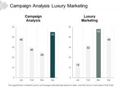 Campaign analysis luxury marketing advertising businesses demographic reporting cpb