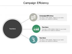Campaign efficiency ppt powerpoint presentation ideas background image cpb