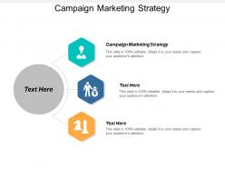 Campaign marketing strategy ppt powerpoint presentation gallery influencers cpb