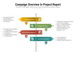 Campaign overview in project report