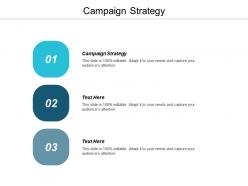 Campaign strategy ppt powerpoint presentation gallery format ideas cpb