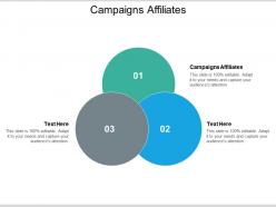 Campaigns affiliates ppt powerpoint presentation summary elements cpb