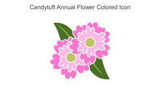 Candytuft Annual Flower Colored Icon In Powerpoint Pptx Png And Editable Eps Format