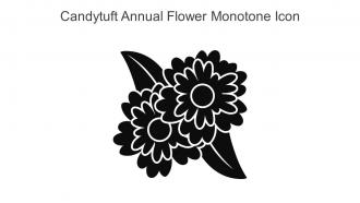 Candytuft Annual Flower Monotone Icon In Powerpoint Pptx Png And Editable Eps Format