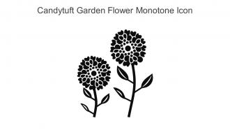Candytuft Garden Flower Monotone Icon In Powerpoint Pptx Png And Editable Eps Format