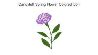 Candytuft Spring Flower Colored Icon In Powerpoint Pptx Png And Editable Eps Format