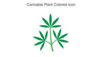Cannabis Plant Colored Icon In Powerpoint Pptx Png And Editable Eps Format