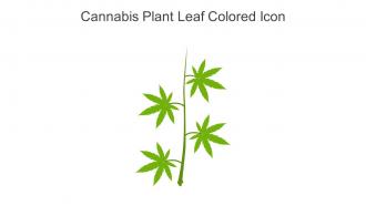 Cannabis Plant Leaf Colored Icon In Powerpoint Pptx Png And Editable Eps Format