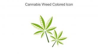 Cannabis Weed Colored Icon In Powerpoint Pptx Png And Editable Eps Format