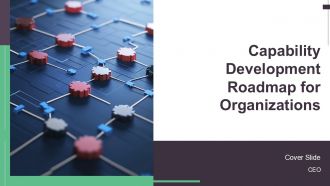 Capability Development Roadmap For Organizations PPT Presentation AT