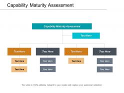 Capability maturity assessment ppt powerpoint presentation layouts model cpb