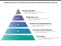 Capability pyramid price testing security risk identification manage credit risk