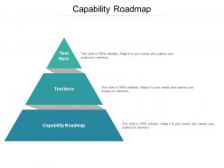 Capability roadmap ppt powerpoint presentation gallery styles cpb