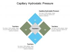 Capillary hydrostatic pressure ppt powerpoint presentation professional file formats cpb
