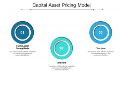 Capital asset pricing model ppt powerpoint presentation ideas demonstration cpb