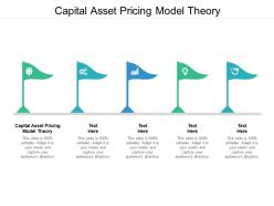 Capital asset pricing model theory ppt powerpoint presentation model cpb