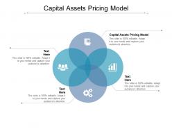 Capital assets pricing model ppt powerpoint presentation styles slides cpb