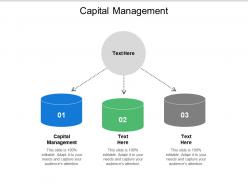 Capital management ppt powerpoint presentation icon example introduction cpb