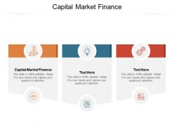 Capital market finance ppt powerpoint presentation styles gridlines cpb