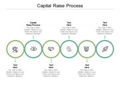 Capital raise process ppt powerpoint presentation show information cpb