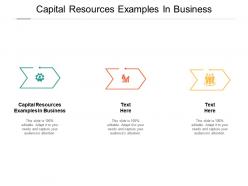 Capital resources examples in business ppt powerpoint presentation graphics cpb