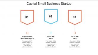 Capital small business startup ppt powerpoint presentation show templates cpb