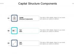 Capital structure components ppt powerpoint presentation file background images cpb