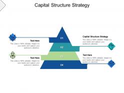Capital structure strategy ppt powerpoint presentation icon show cpb
