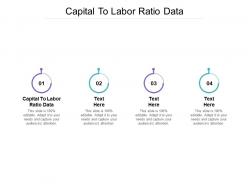 Capital to labor ratio data ppt powerpoint presentation show gridlines cpb