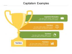 Capitalism examples ppt powerpoint presentation professional samples cpb