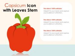 Capsicum icon with leaves stem